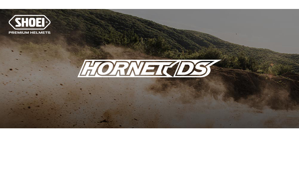 HORNET-DS Visual